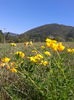 2013-09-08 15.21.25