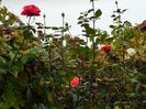 DSCN4827