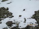 IMG_0054