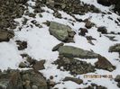 IMG_0055