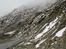 IMG_0056