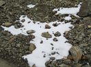 IMG_0062