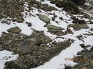 IMG_0063