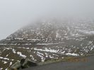 IMG_0066