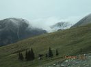 IMG_0082