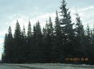 IMG_0086