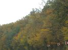 IMG_9860