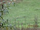 IMG_9877