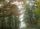IMG_9891
