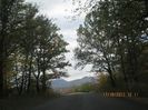 IMG_9892