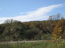 IMG_9918
