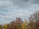 IMG_9947