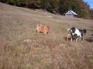 2013-10-07 15.07.59