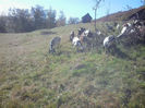 2013-10-07 15.13.10