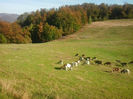 2013-10-07 15.57.50