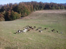 2013-10-07 15.58.01