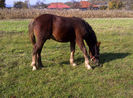 IMG-20131017-01217