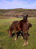 IMG-20131017-01218