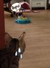 131017_dara_twitter_3