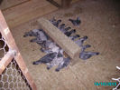 PICT0672