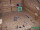 PICT0674