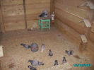 PICT0675