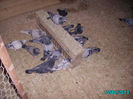 PICT0676