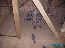 PICT0678
