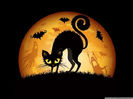 halloween_2012-wallpaper-1024x