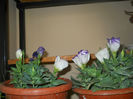 DSCN5211