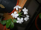 DSCN5213