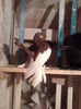 Photo0035
