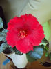 DSC00804
