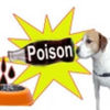 2005110121550dog_poison