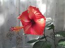 20131020_135251