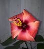 20131020_100457