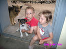 Catelusa jack russel noua membra in familie