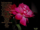 DSCN1797