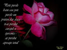 DSCN1798