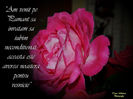 DSCN1799