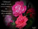 DSCN1800