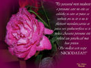 DSCN1802