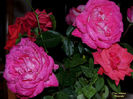 DSCN1804