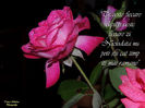 DSCN1811