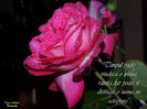 DSCN1814