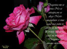 DSCN1815