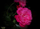 DSCN1824