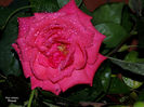 DSCN1862