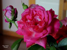 DSCN1885