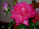 DSCN1887
